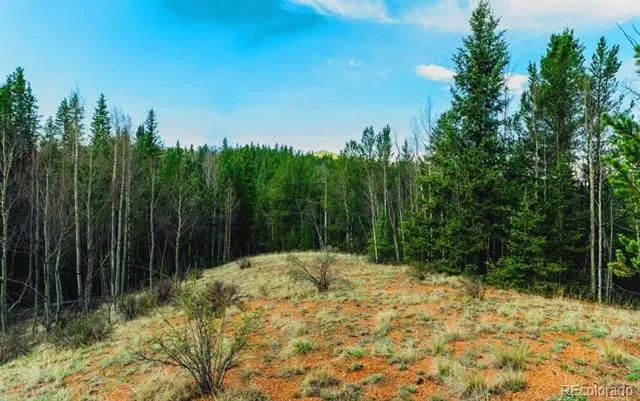 977 County Road 61 Divide, CO 80814