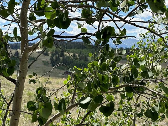 95 Wabeno Court Jefferson, CO 80456