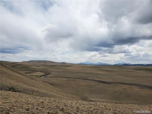 1564 Delaware Road Hartsel, CO 80449