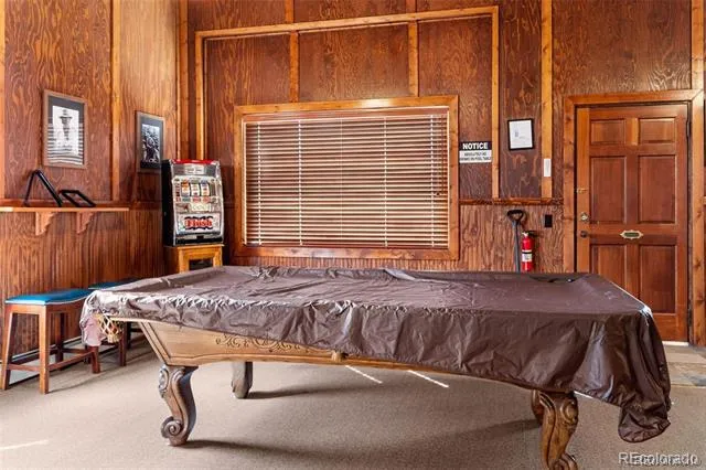 112 E 3rd Street Leadville, CO 80461
