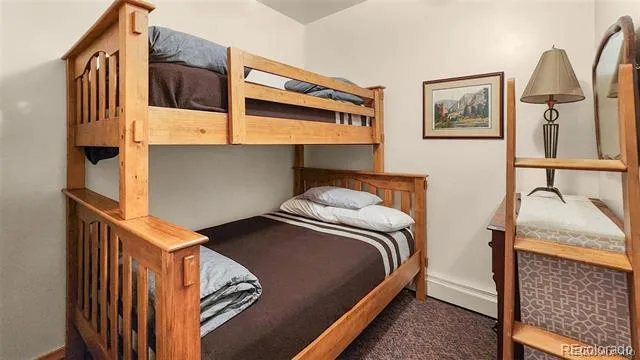 112 E 3rd Street Leadville, CO 80461