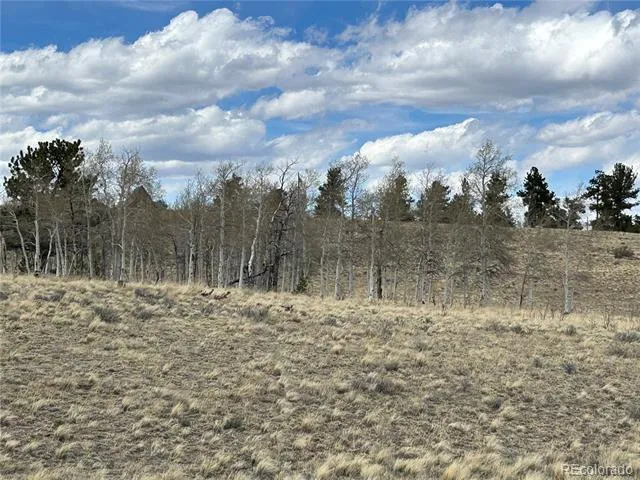 187 Angus Circle Hartsel, CO 80449