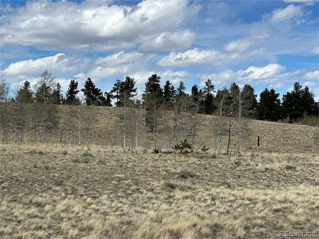 187 Angus Circle Hartsel, CO 80449
