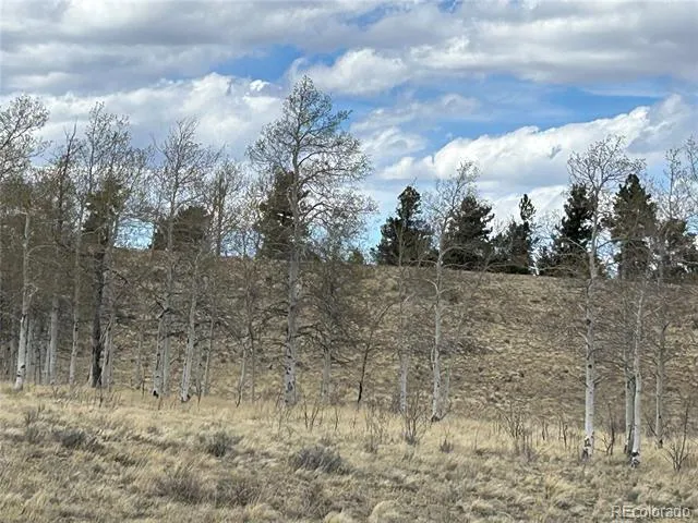 187 Angus Circle Hartsel, CO 80449