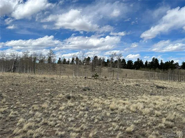 187 Angus Circle Hartsel, CO 80449