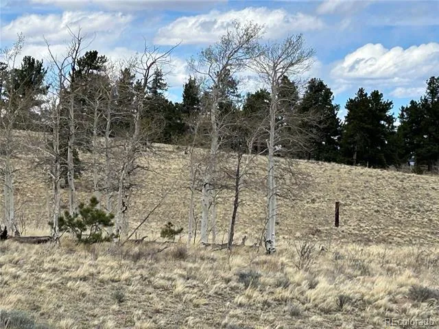 187 Angus Circle Hartsel, CO 80449