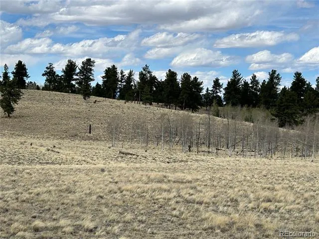 187 Angus Circle Hartsel, CO 80449