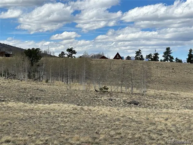 187 Angus Circle Hartsel, CO 80449
