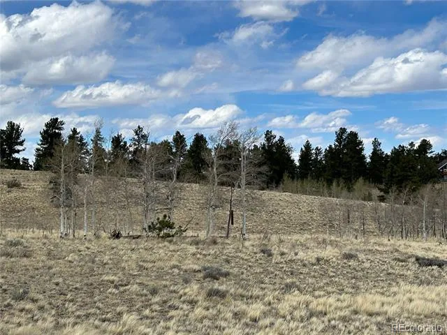 187 Angus Circle Hartsel, CO 80449