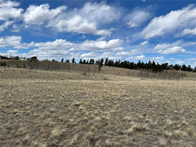 187 Angus Circle Hartsel, CO 80449