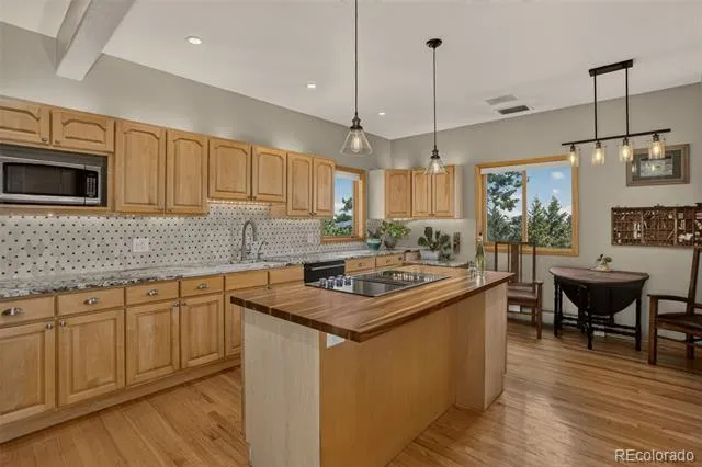 9388 Yegge Road Morrison, CO 80465