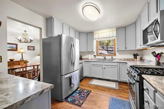 4091 Singletree Road Hartsel, CO 80449