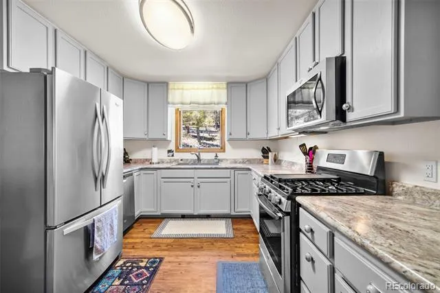 4091 Singletree Road Hartsel, CO 80449