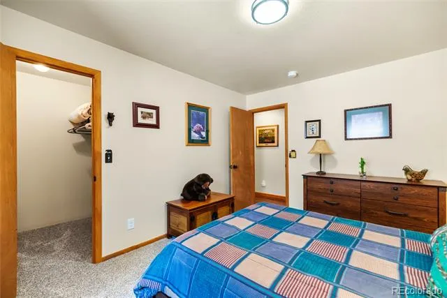 4091 Singletree Road Hartsel, CO 80449