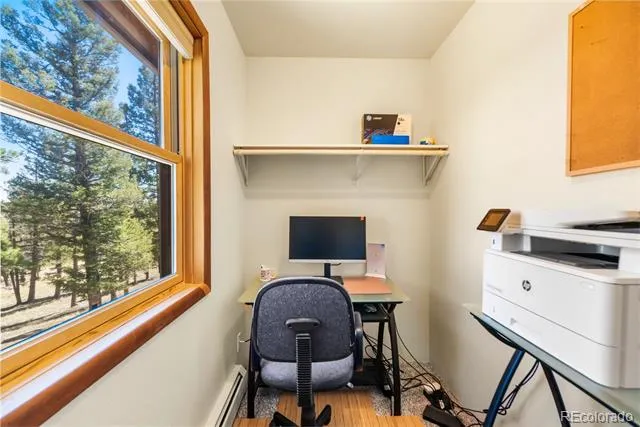 4091 Singletree Road Hartsel, CO 80449