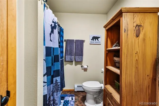 4091 Singletree Road Hartsel, CO 80449
