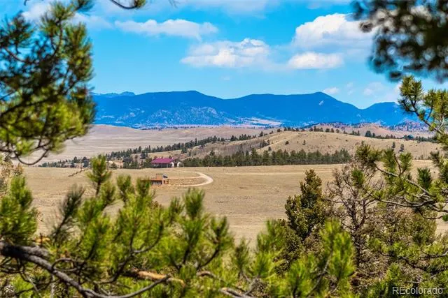 4091 Singletree Road Hartsel, CO 80449