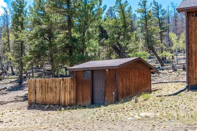 4091 Singletree Road Hartsel, CO 80449