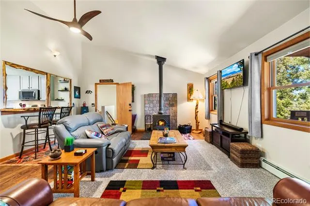 4091 Singletree Road Hartsel, CO 80449