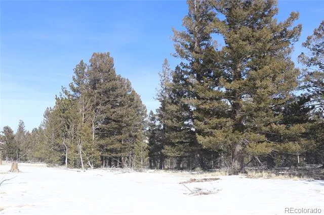 96 Baler Court Hartsel, CO 80449