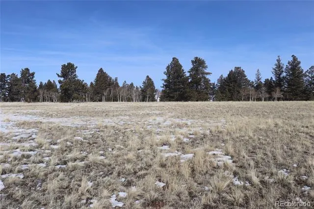 96 Baler Court Hartsel, CO 80449