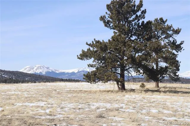 96 Baler Court Hartsel, CO 80449