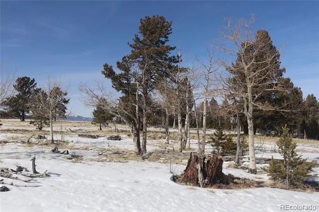 96 Baler Court Hartsel, CO 80449