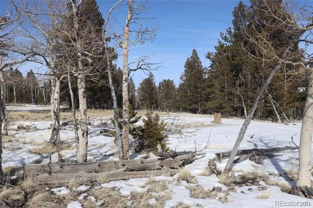 96 Baler Court Hartsel, CO 80449