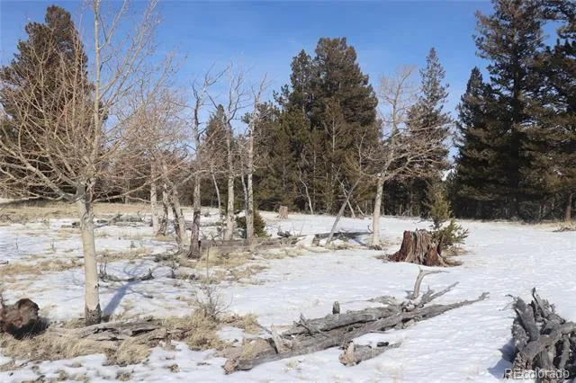 96 Baler Court Hartsel, CO 80449