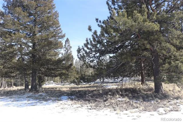 96 Baler Court Hartsel, CO 80449