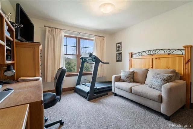 75 Linden Lane Breckenridge, CO 80424
