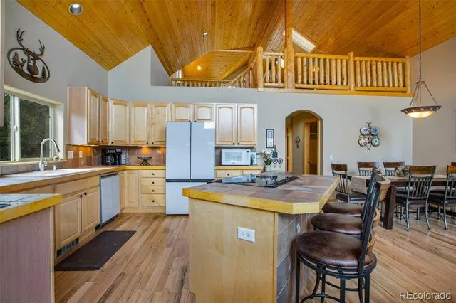 2649 COIL DRIVE Fairplay, CO 80440