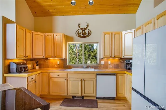 2649 COIL DRIVE Fairplay, CO 80440
