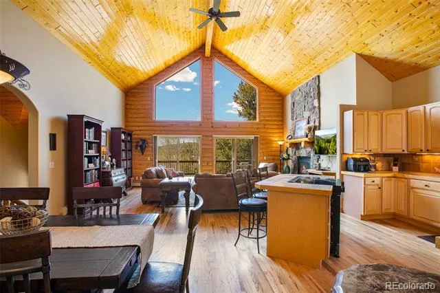 2649 COIL DRIVE Fairplay, CO 80440