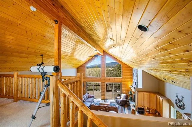 2649 COIL DRIVE Fairplay, CO 80440