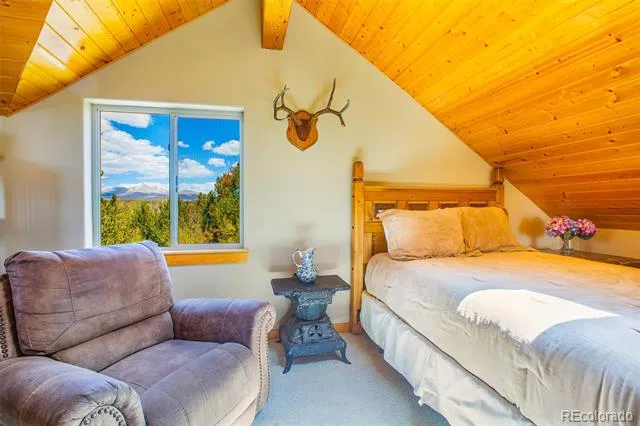2649 COIL DRIVE Fairplay, CO 80440