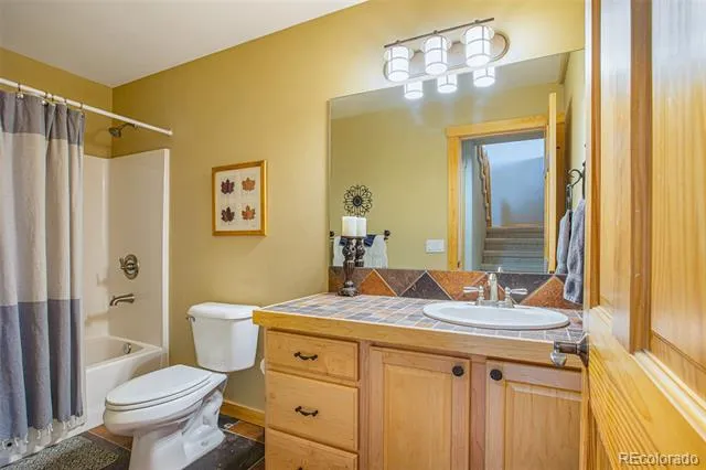 2649 COIL DRIVE Fairplay, CO 80440