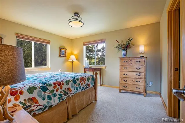 2649 COIL DRIVE Fairplay, CO 80440