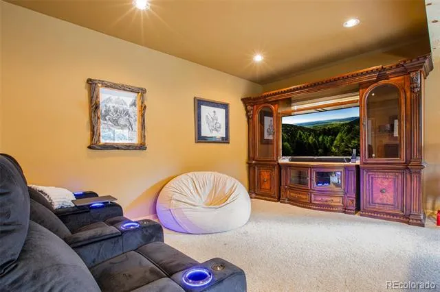 2649 COIL DRIVE Fairplay, CO 80440