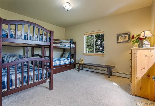 2649 COIL DRIVE Fairplay, CO 80440