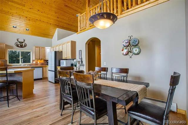2649 COIL DRIVE Fairplay, CO 80440