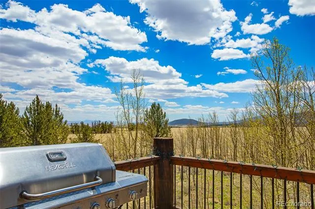 2649 COIL DRIVE Fairplay, CO 80440