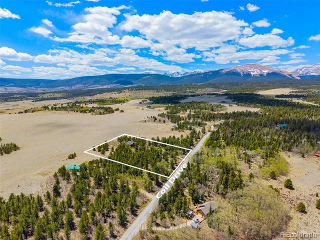 2649 COIL DRIVE Fairplay, CO 80440