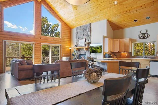 2649 COIL DRIVE Fairplay, CO 80440