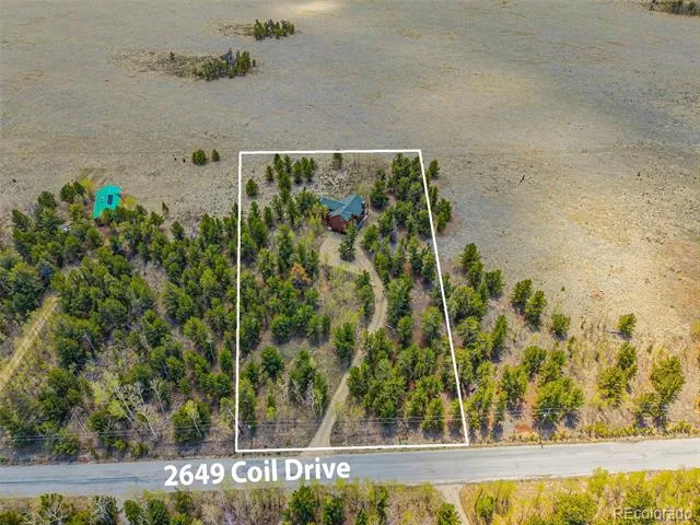 2649 COIL DRIVE Fairplay, CO 80440