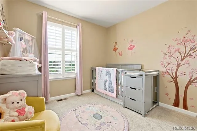 22861 E Briarwood Place Aurora, CO 80016