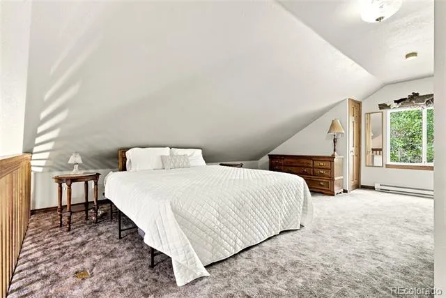 271 Willow Lane Alma, CO 80420