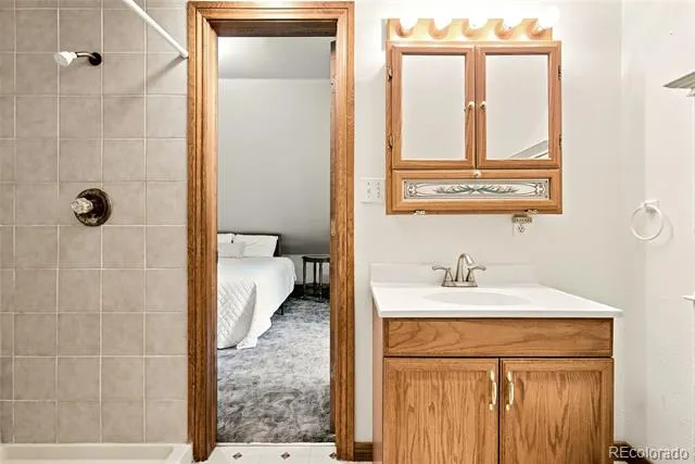 271 Willow Lane Alma, CO 80420