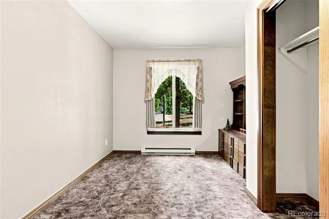 271 Willow Lane Alma, CO 80420