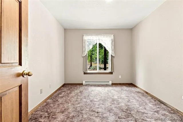 271 Willow Lane Alma, CO 80420
